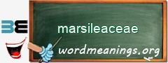 WordMeaning blackboard for marsileaceae